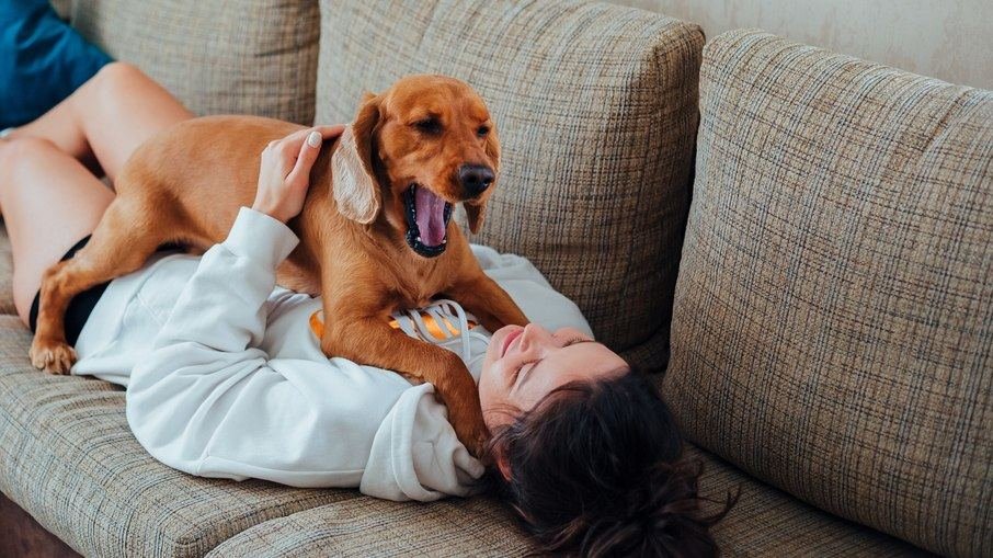Mulher deitada no sofá brincando com um cachorro de porte pequeno
