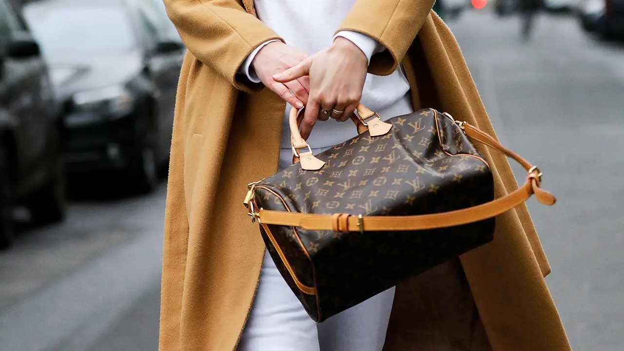 Bolsa de couro de luxo, bem cuidada, em luz natural